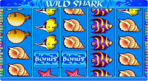 Bonus in the Canadian slot Wild Shark