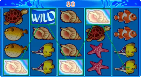 online slot with special features - Wild Shark